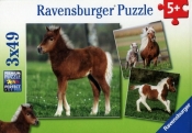 Puzzle Przyjaźń kucyków 3x49 (092543)