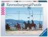 Ravensburger, Puzzle 1000: Cammino di Santiago (12000601) Wiek: 14+