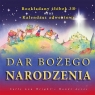 Dar Bożego Narodzenia Sally Ann Wright