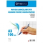 Papier kancelaryjny A3/100k, kratka (14597)