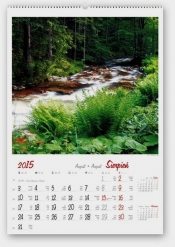 Kalendarz 2015 RW Lasy polskie - <br />