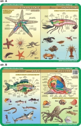 Podkładka edukacyjna. Szkarłupnie, skorupiaki, mięczaki, ryb