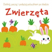 Dotknij, poczuj i podążaj po śladzie - Zwierzęta