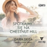 Spotkajmy się na Chestnut Hill Tom 1
	 (Audiobook) Skiba Daria