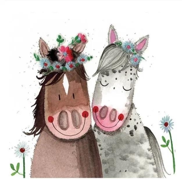 <img src='https://webimage.pl/pics/546/5/d5060108715546.jpg'>