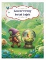 Zaczarowany świat bajek Irmina Żochowska, Marta Orzechowska