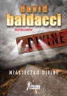 Miasteczko Divine Baldacci David