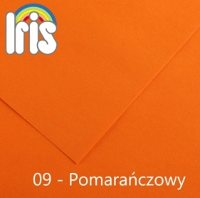 Karton kolorowy Canson (200040158) - Fila Polska