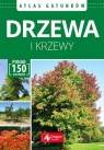 Drzewa i krzewy Atlas gatunków (Uszkodzona okładka)