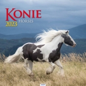 Kalendarz 2023 spirala kw Konie KD22