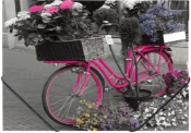 Teczka na gumkę A4 z nadrukiem Bike