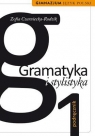 Gramatyka i stylistyka 1 Podręcznik