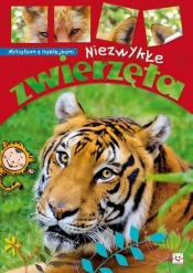 Minialbum z naklejkami Niezwykłe zwierzęta - <br />
