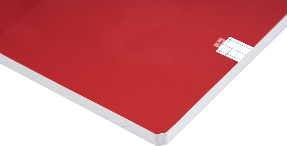 <img src='https://webimage.pl/pics/548/6/d5904017416548-41.png'>