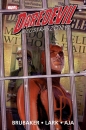 Daredevil: Nieustraszony! Tom 4 - Stefano Gaudiano, Ed Brubaker, David Aja, Michael Lark