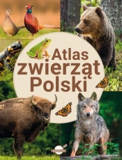 Atlas zwierząt Polski - opracowanie zbiorowe
