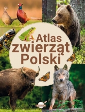 Atlas zwierząt Polski - Opracowanie zbiorowe