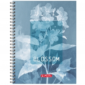 Kołozeszyt Herlitz Standard Blossom, A4/80K w kratkę