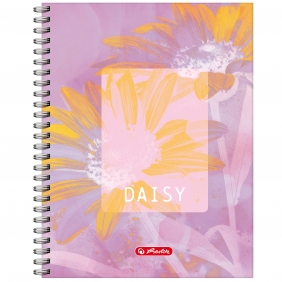 Kołozeszyt Herlitz Standard Blossom, A4/80K w kratkę