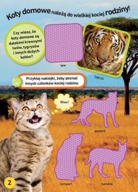 1000 naklejek. Koty. National Geographic Kids - Opracowanie zbiorowe