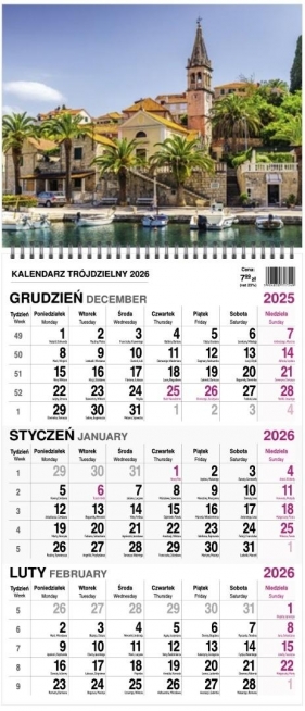 Kalendarz 2026 trójdzielny na spirali mały MIX