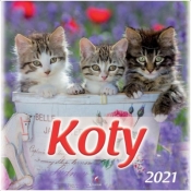 Kalendarz 2021 Ścienny Koty - praca zbiorowa