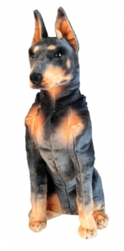 Pies Doberman 65cm