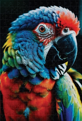 Puzzle 250: Colourful Nature 9 - Parrot