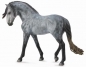 Ogier andalusian szary (89555)