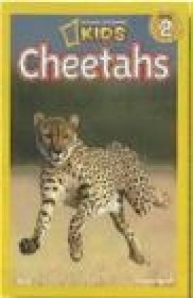 Cheetahs Laura Marsh