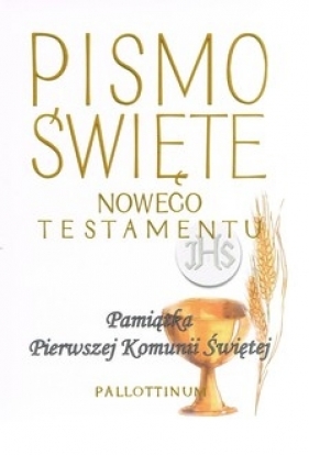 Pismo Święte Nowego testamentu (mały format 01)