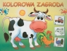 Kolorowa zagroda Kolorowanka z naklejkami