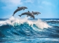 Puzzle HQC 500: Dolphins (35055)