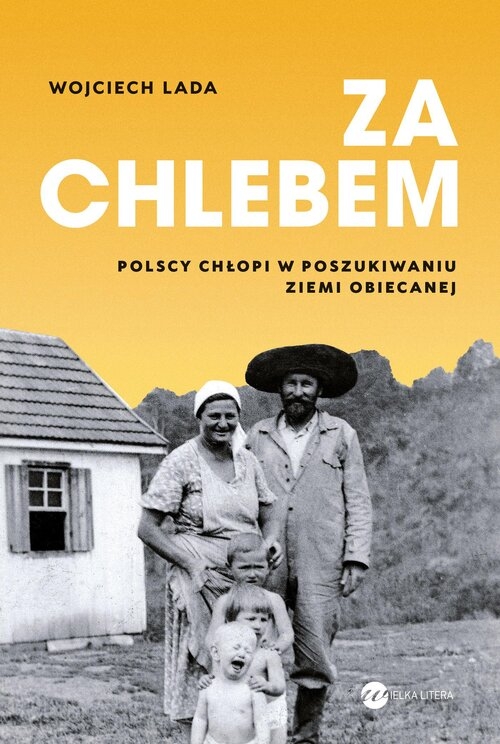 <img src='https://webimage.pl/pics/551/3/d98250B.jpg'>