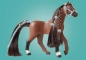 Playmobil Horses of Waterfall: Zoe i Blaze z przeszkodami (71355)