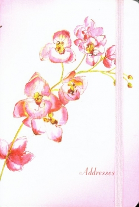 Adresownik Orchidea