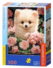 Puzzle 300 Pomeranian Puppy in Roses
