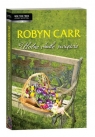 Ulotne chwile szczęścia  Carr Robyn