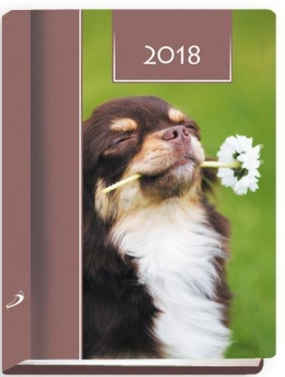 Terminarz 2018 - B7 Kolorowy - pies