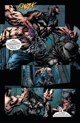 Batman Mroczny Rycerz. Nocna trwoga. Tom 1 - Paul Jenkins, David Finch, David Finch