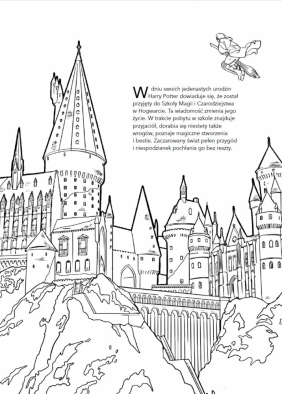 Harry Potter. Zagadkowe rysunki. Koloruj po numerach - Opracowanie zbiorowe