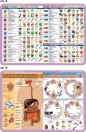 Podkładka edukacyjna 055 - Anatomia człowieka i mikrobiologia. Szkielet, mięśnie, mózg i zmysły człowieka