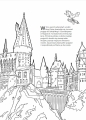 Harry Potter. Zagadkowe rysunki. Koloruj po numerach - Opracowanie zbiorowe