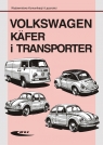  Volkswagen Käfer i Transporter