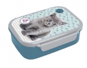 Pojemnik na śniadanie Sweet Pets Kot