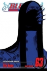 Bleach, Vol. 63: Hear, Fear, Here Kubo Tite