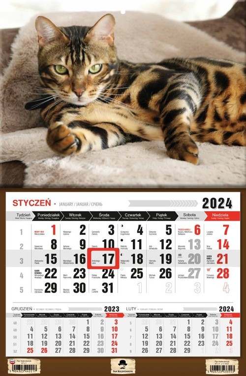 Kalendarz 2024 jednodzielny Kot