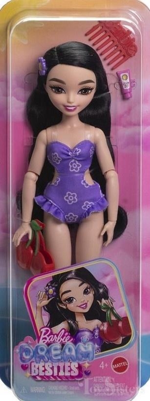 Barbie Dream Besties Renee