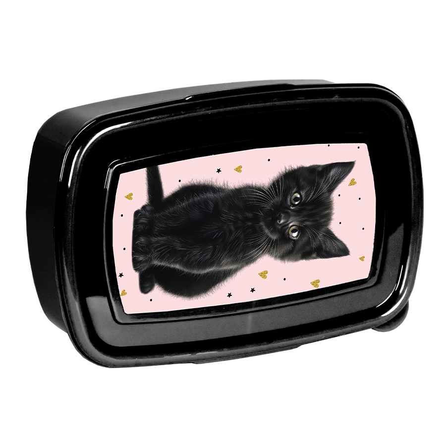Pudełko śniadaniowe 750 ml - Black Cat