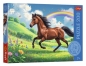 Puzzle 200 Dostojny koń